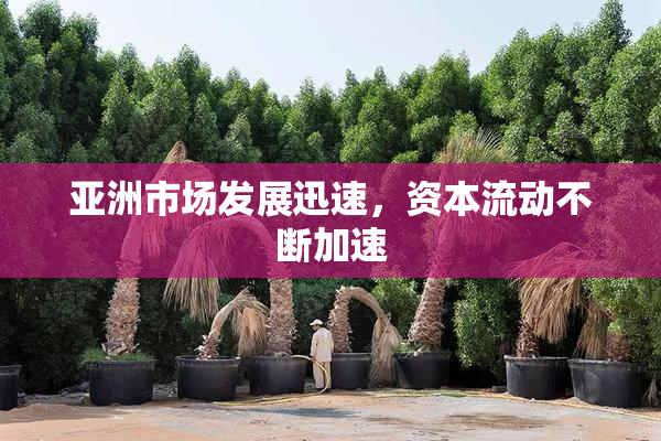 亚洲市场发展迅速，资本流动不断加速
