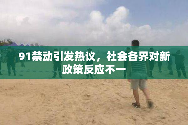 91禁动引发热议，社会各界对新政策反应不一