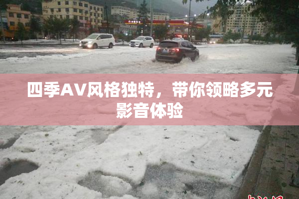 四季AV风格独特，带你领略多元影音体验