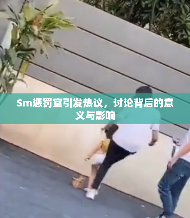 Sm惩罚室引发热议，讨论背后的意义与影响