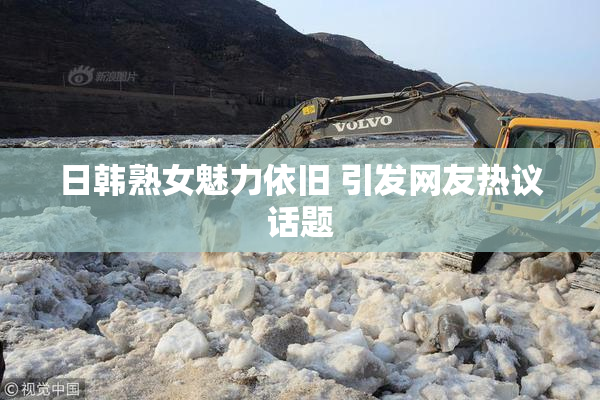 日韩熟女魅力依旧 引发网友热议话题