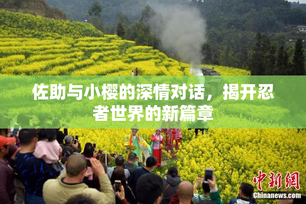 佐助与小樱的深情对话，揭开忍者世界的新篇章