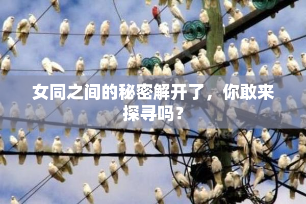 女同之间的秘密解开了，你敢来探寻吗？