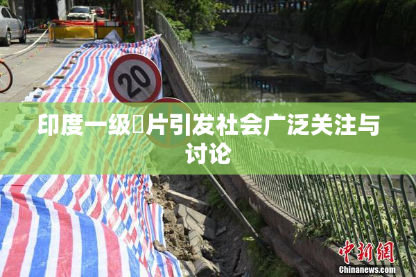 印度一级婬片引发社会广泛关注与讨论