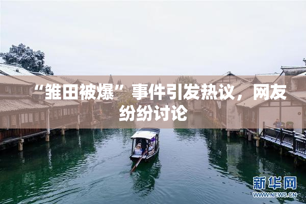 “雏田被爆”事件引发热议，网友纷纷讨论