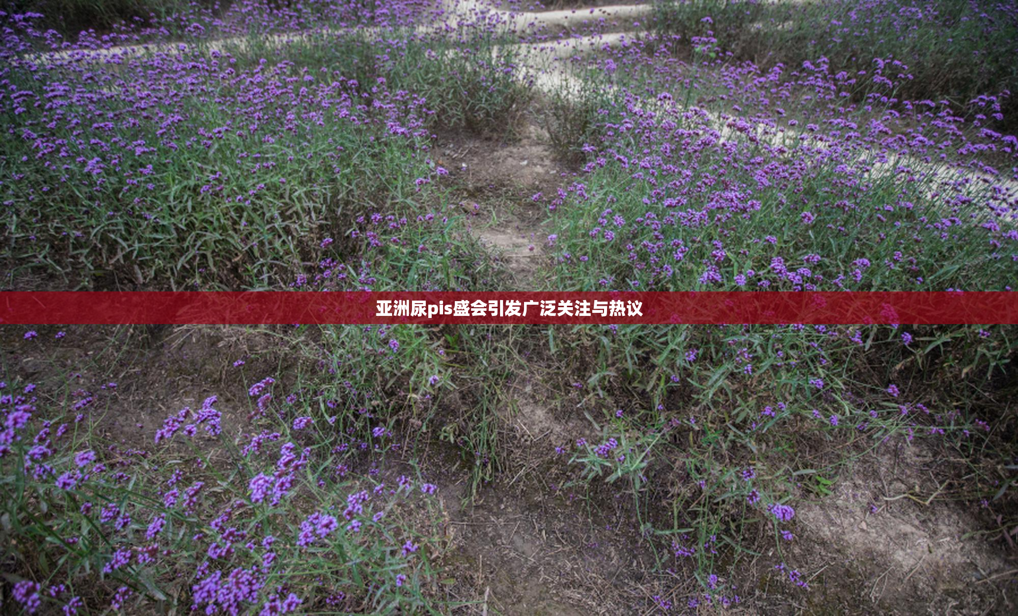 亚洲尿pis盛会引发广泛关注与热议