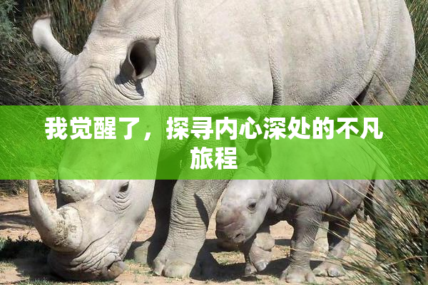 我觉醒了，探寻内心深处的不凡旅程