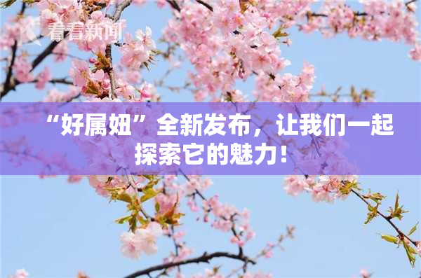 “好属妞”全新发布，让我们一起探索它的魅力！