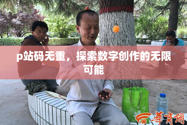 p站码无重，探索数字创作的无限可能
