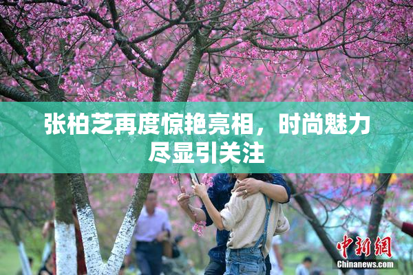 张柏芝再度惊艳亮相，时尚魅力尽显引关注