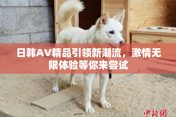 日韩AV精品引领新潮流，激情无限体验等你来尝试