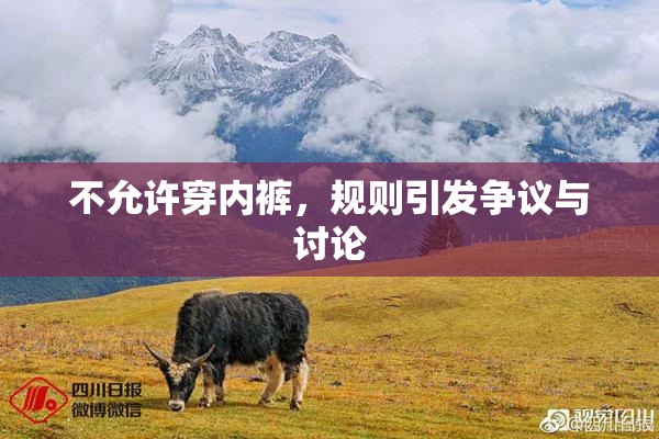 不允许穿内裤，规则引发争议与讨论