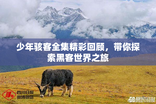 少年骇客全集精彩回顾，带你探索黑客世界之旅
