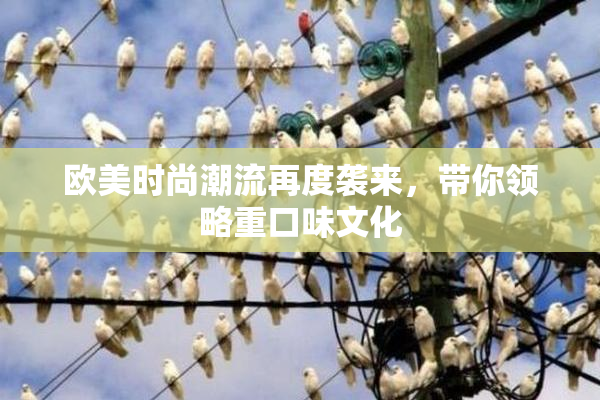 欧美时尚潮流再度袭来，带你领略重口味文化