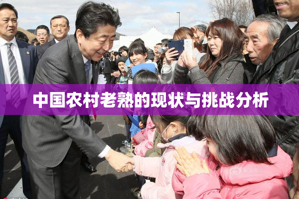 中国农村老熟的现状与挑战分析