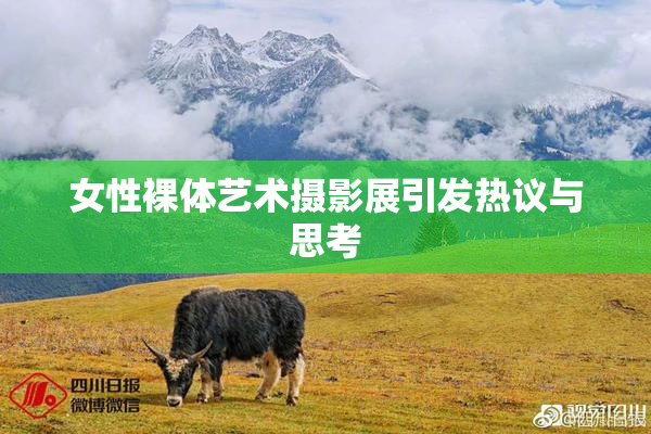 女性裸体艺术摄影展引发热议与思考