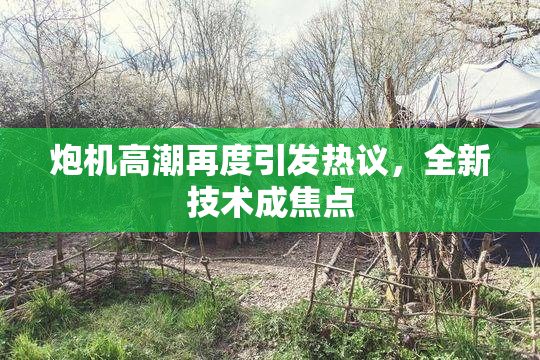 炮机高潮再度引发热议，全新技术成焦点