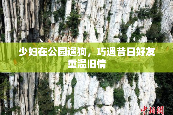少妇在公园遛狗，巧遇昔日好友重温旧情