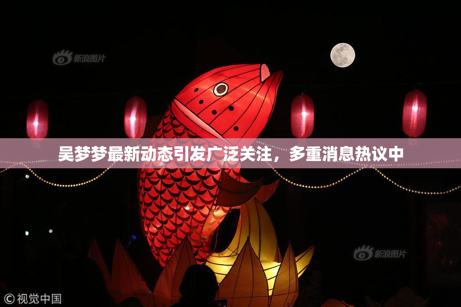 吴梦梦最新动态引发广泛关注，多重消息热议中