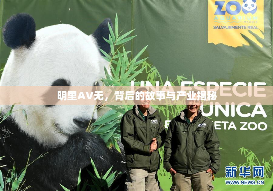 明里AV无，背后的故事与产业揭秘