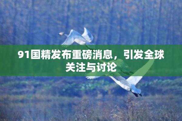 91国精发布重磅消息，引发全球关注与讨论