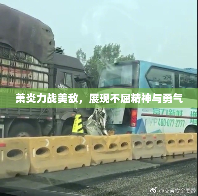 萧炎力战美敌，展现不屈精神与勇气