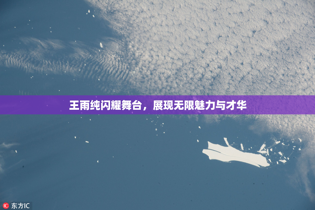 王雨纯闪耀舞台，展现无限魅力与才华