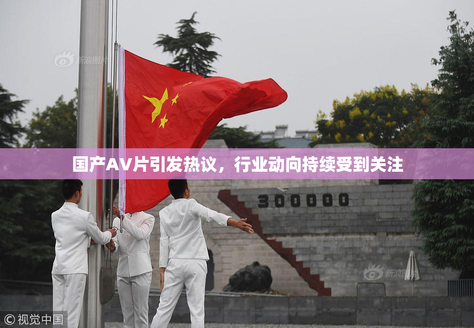 国产AV片引发热议，行业动向持续受到关注