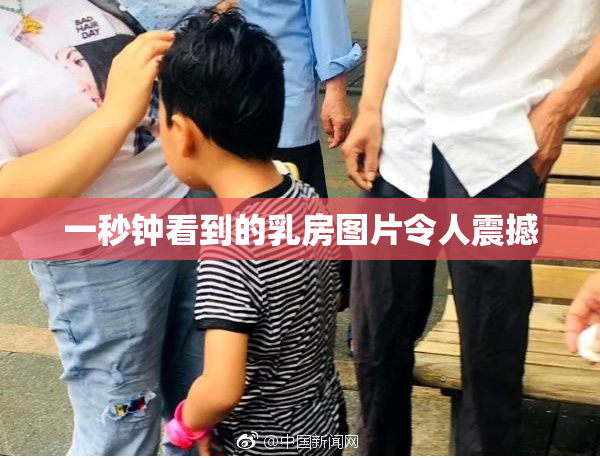 一秒钟看到的乳房图片令人震撼