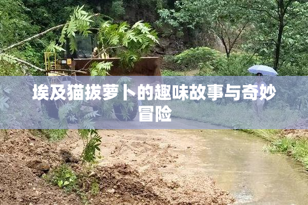 埃及猫拔萝卜的趣味故事与奇妙冒险