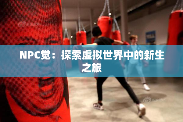 NPC觉：探索虚拟世界中的新生之旅