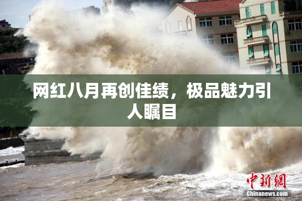 网红八月再创佳绩，极品魅力引人瞩目