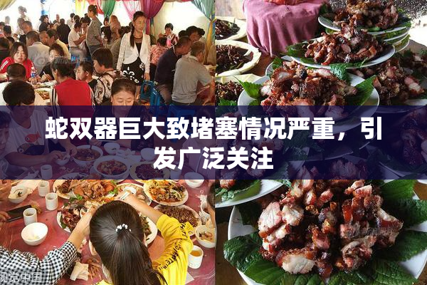 蛇双器巨大致堵塞情况严重，引发广泛关注