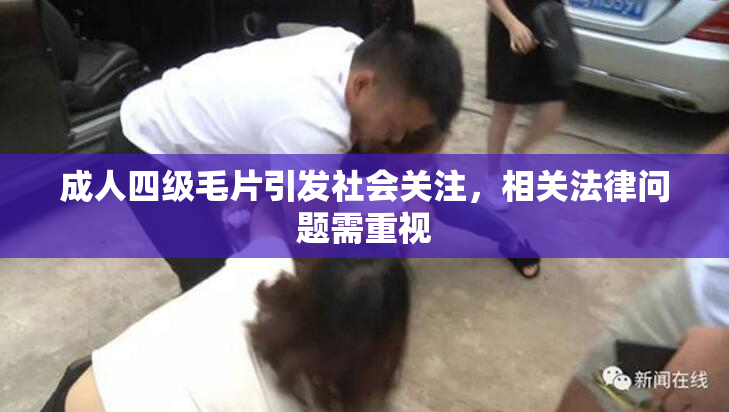 成人四级毛片引发社会关注，相关法律问题需重视