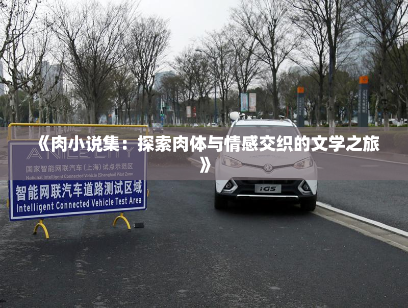《肉小说集：探索肉体与情感交织的文学之旅》