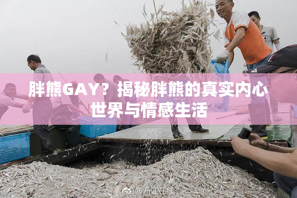 胖熊GAY？揭秘胖熊的真实内心世界与情感生活