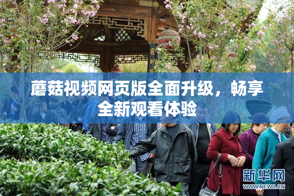 蘑菇视频网页版全面升级，畅享全新观看体验