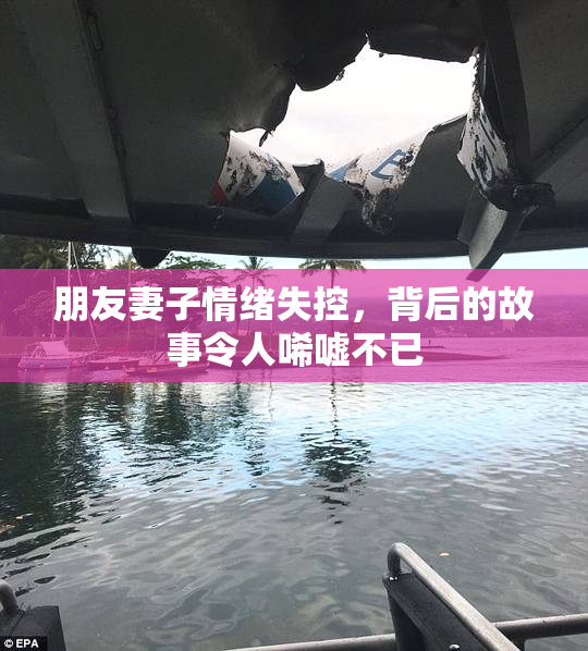朋友妻子情绪失控，背后的故事令人唏嘘不已