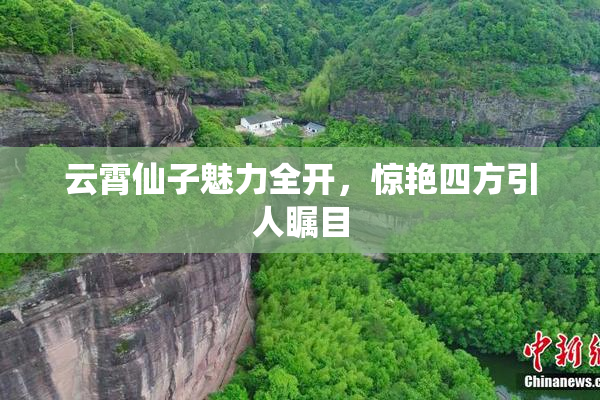 云霄仙子魅力全开，惊艳四方引人瞩目