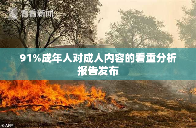 91%成年人对成人内容的看重分析报告发布