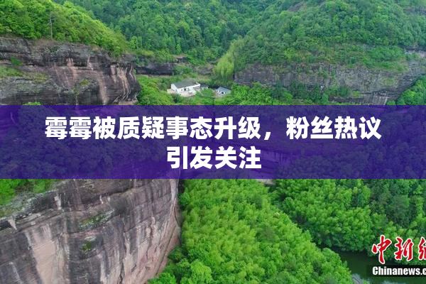 霉霉被质疑事态升级，粉丝热议引发关注
