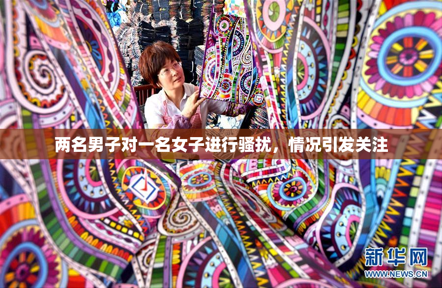 两名男子对一名女子进行骚扰，情况引发关注