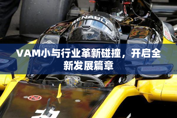 VAM小与行业革新碰撞，开启全新发展篇章