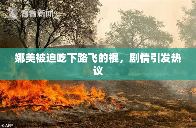 娜美被迫吃下路飞的棍，剧情引发热议