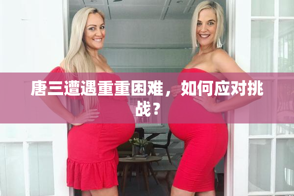 唐三遭遇重重困难，如何应对挑战？