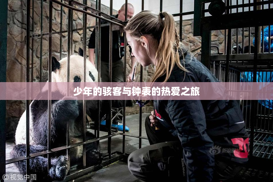 少年的骇客与钟表的热爱之旅
