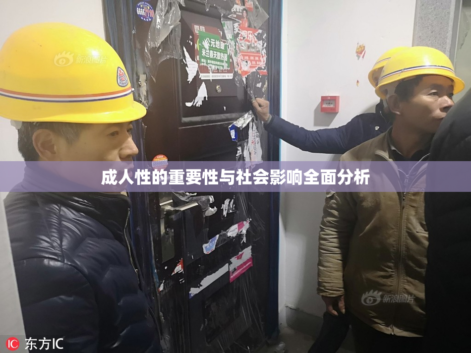成人性的重要性与社会影响全面分析
