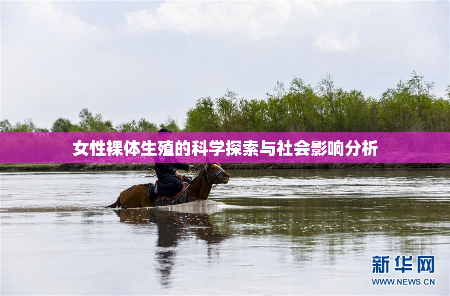 女性裸体生殖的科学探索与社会影响分析