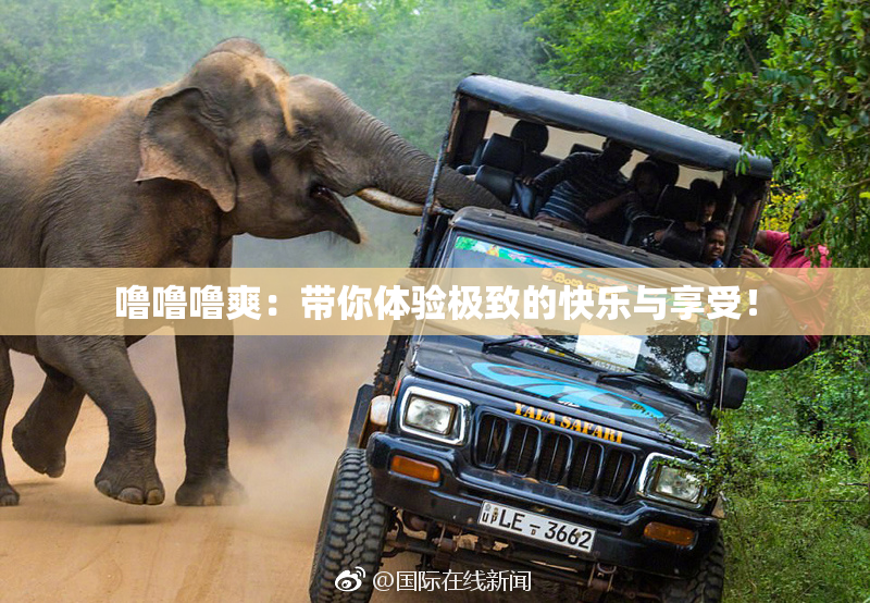 噜噜噜爽：带你体验极致的快乐与享受！