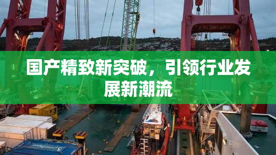 国产精致新突破，引领行业发展新潮流